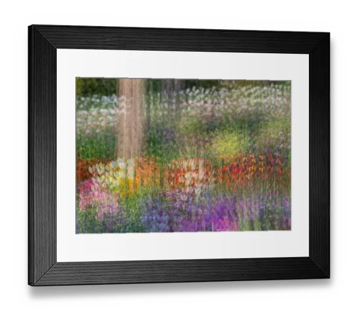 Framed Print : France, Giverny. Impression of flowers in Monets Garden