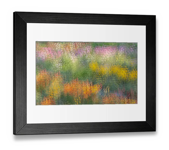 Framed Print : France, Giverny. Impression of flowers in Monets Garden Framed Print : France, Giverny. Impression of flowers in Monets Garden