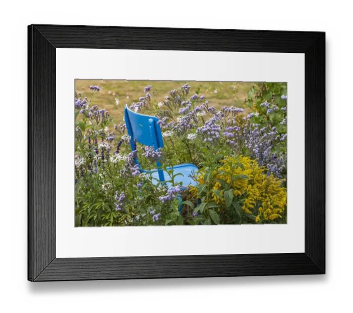 Framed Print : Europe, France, Haute-Vienne, Limoges. Flowers and a chair in a garden in Limoges Framed Print : Europe, France, Haute-Vienne, Limoges. Flowers and a chair in a garden in Limoges
