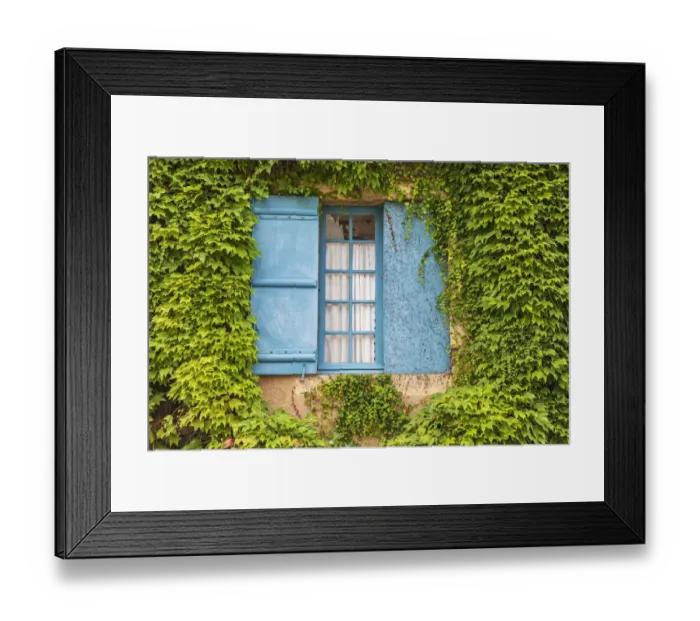Framed Print : Europe, France, Dordogne, Hautefort. A blue shuttered window in an ivy covered wall in Framed Print : Europe, France, Dordogne, Hautefort. A blue shuttered window in an ivy covered wall in