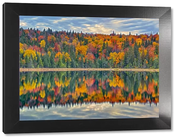 Canada, Quebec, La Mauricie National Park. Autumn colors reflected in Lac Modene
