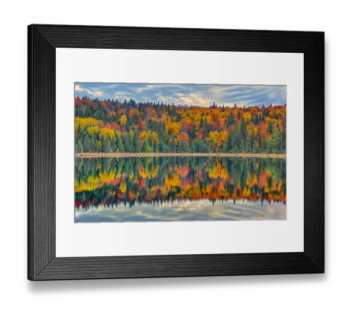 Framed Print : Canada, Quebec, La Mauricie National Park. Autumn colors reflected in Lac Modene