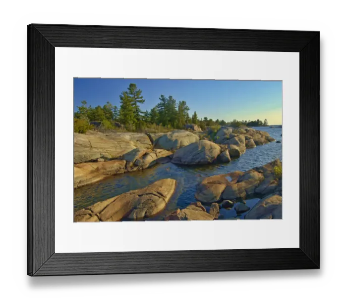 Framed Print : Canada, Ontario, Honey Harbour. Trees on Precambrian shield rock Framed Print : Canada, Ontario, Honey Harbour. Trees on Precambrian shield rock