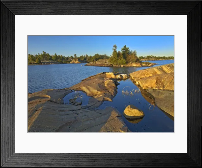 Framed Print : Canada, Ontario, Honey Harbour. White pine tree on Precambrian shield rock Framed Print : Canada, Ontario, Honey Harbour. White pine tree on Precambrian shield rock