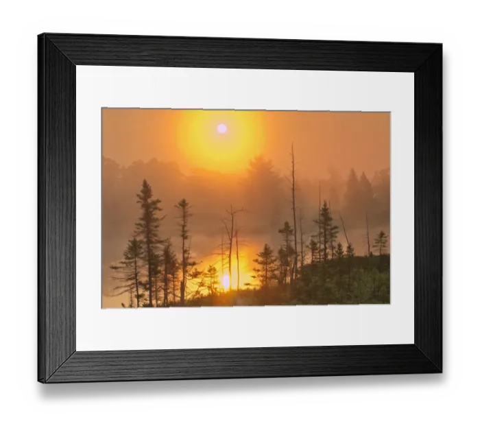 Framed Print : Canada, Ontario, Torrance Barrens Dark-Sky Preserve. Foggy sunrise on forest Framed Print : Canada, Ontario, Torrance Barrens Dark-Sky Preserve. Foggy sunrise on forest