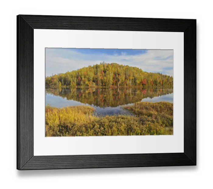 Framed Print : Canada, Ontario, Goulais River. Forest reflection in lake Framed Print : Canada, Ontario, Goulais River. Forest reflection in lake