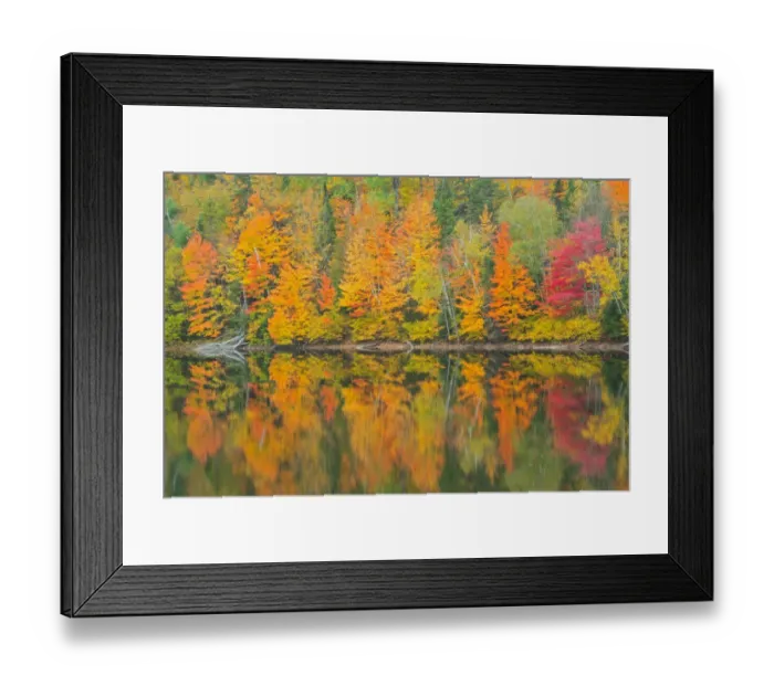 Framed Print : Canada, Quebec, Saint-Mathieu-du-Parc. Autumn colors reflected in Lac Trudel