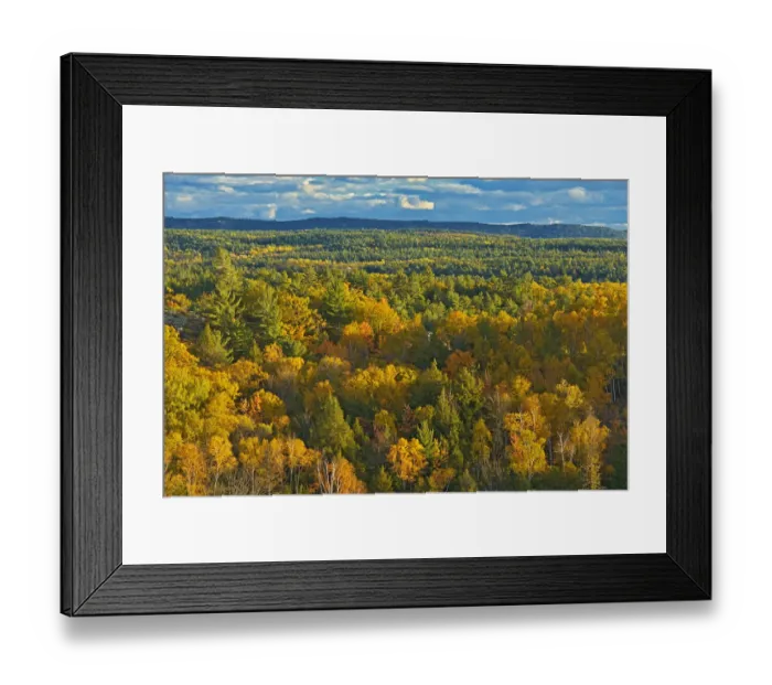 Framed Print : Canada, Ontario, Neebing County. Forest in autumn. Credit as Framed Print : Canada, Ontario, Neebing County. Forest in autumn. Credit as