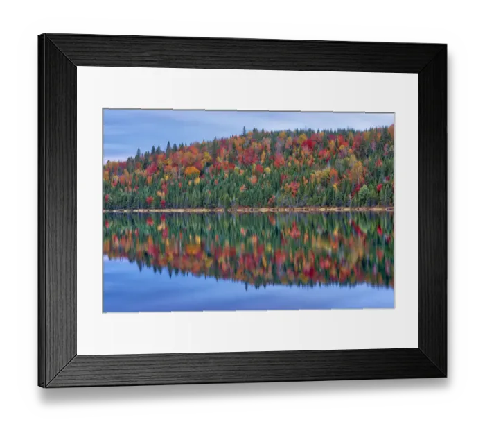 Framed Print : Canada, Quebec, La Mauricie National Park. Autumn colors reflected in Lac Modene Framed Print : Canada, Quebec, La Mauricie National Park. Autumn colors reflected in Lac Modene