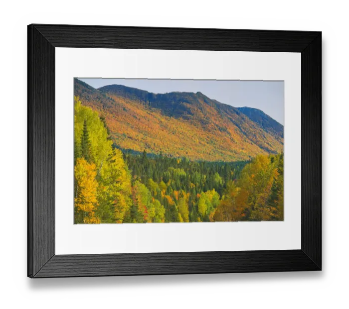 Framed Print : Canada, Quebec, Parc National de la Gaspesie. Autumn colors in Chic-Choc Mountains