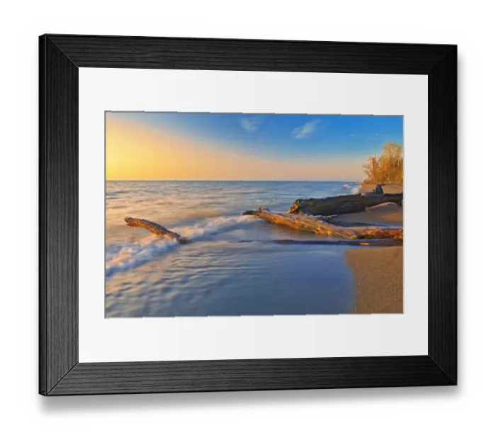 Framed Print : Canada, Ontario, Point Pelee National Park. Driftwood on Lake Erie shoreline at sunrise Framed Print : Canada, Ontario, Point Pelee National Park. Driftwood on Lake Erie shoreline at sunrise