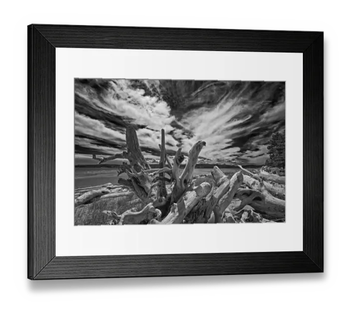 Framed Print : Canada, Quebec, Forillon National Park. Driftwood along ocean shore