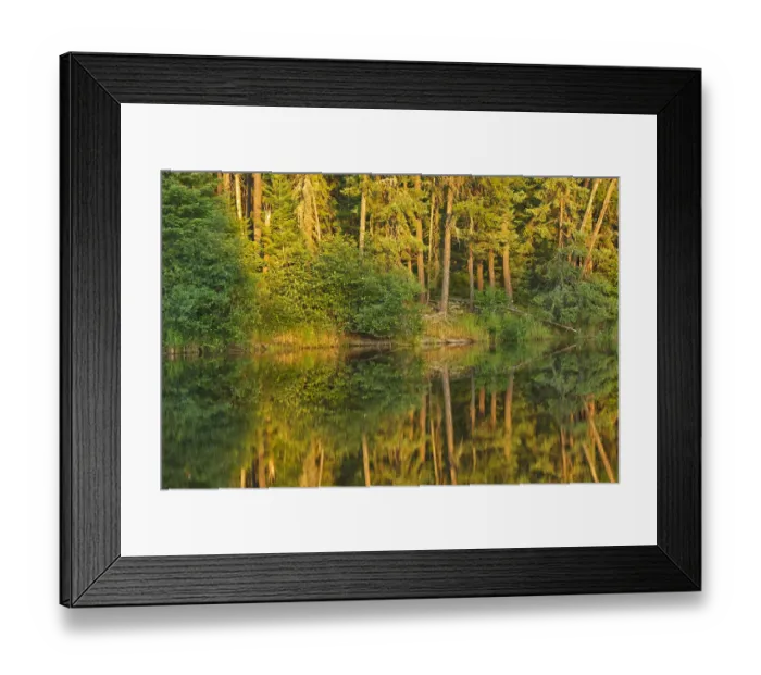Framed Print : Canada, Ontario. Sunset on forest reflected in lake. Credit as Framed Print : Canada, Ontario. Sunset on forest reflected in lake. Credit as