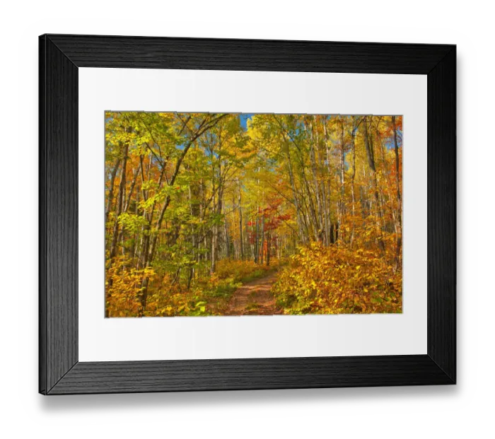 Framed Print : Canada, Ontario, Aubrey Falls Provincial Park, Forest trail in autumn Framed Print : Canada, Ontario, Aubrey Falls Provincial Park, Forest trail in autumn