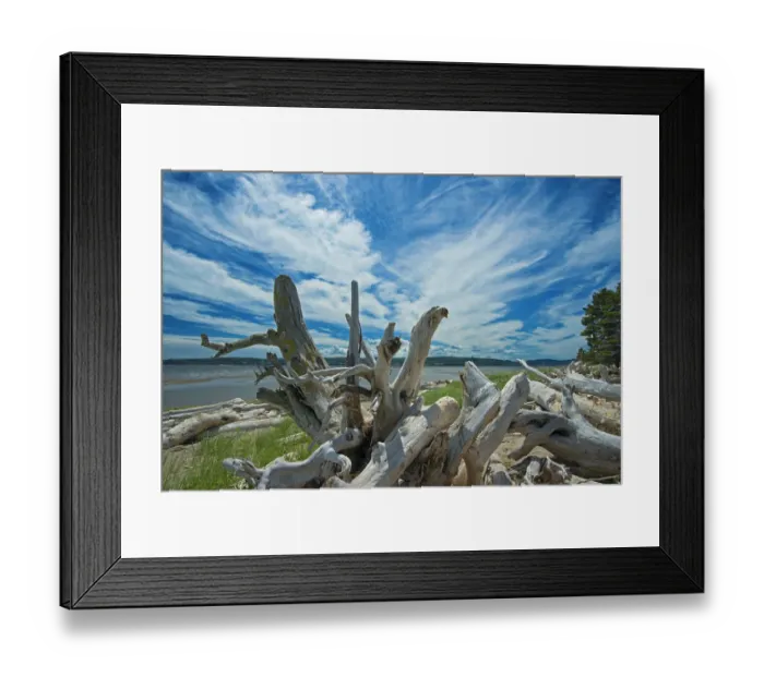 Framed Print : Canada, Quebec, Forillon National Park. Driftwood along La Plage de Penouille Framed Print : Canada, Quebec, Forillon National Park. Driftwood along La Plage de Penouille