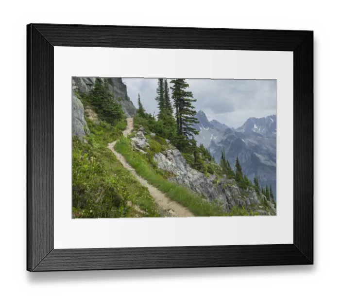 Framed Print : Abbott Ridge Trail along cliffs below Mount Abbott. Selkirk Mountains Glacier National Framed Print : Abbott Ridge Trail along cliffs below Mount Abbott. Selkirk Mountains Glacier National