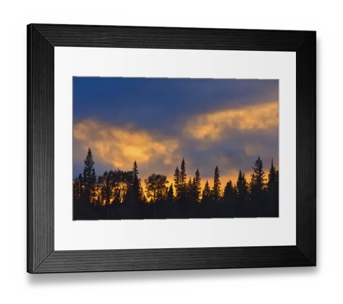 Framed Print : Canada, British Columbia, Liard River Hot Springs Provincial Park