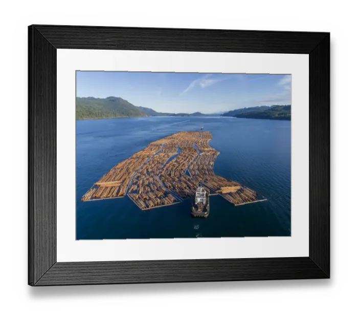 Framed Print : Canada, British Columbia, Campbell River, Aerial view of tugboat pushing boom of freshly Framed Print : Canada, British Columbia, Campbell River, Aerial view of tugboat pushing boom of freshly