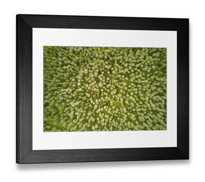 Framed Print : Finlandia, Savonlinna, aerial view Framed Print : Finlandia, Savonlinna, aerial view