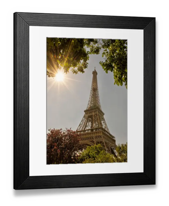 Framed Print : Eiffel Tower framed by trees and sunburst in Paris, France