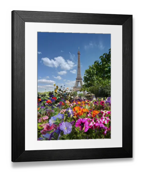 Framed Print : Flowers and Eiffel Tower in Paris, France Framed Print : Flowers and Eiffel Tower in Paris, France