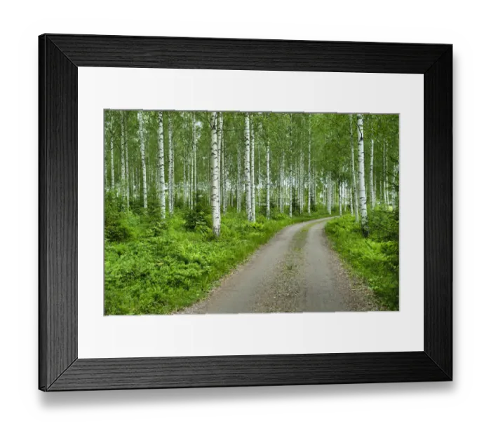 Framed Print : Finlandia, Savonlinna, dirt road in a birches forest