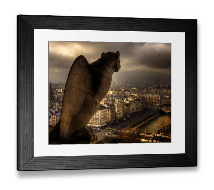 Framed Print : Notre Dame Cathedral, the Seine River and the skyline shimmer on a Paris, France