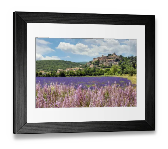 Framed Print : Lavender bloom near Sault in the south of France