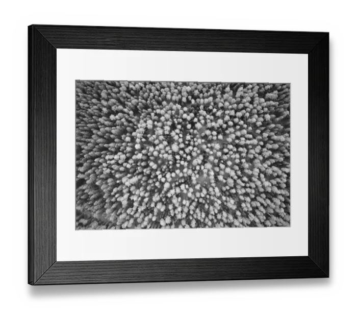 Framed Print : Finlandia, Savonlinna, aerial view