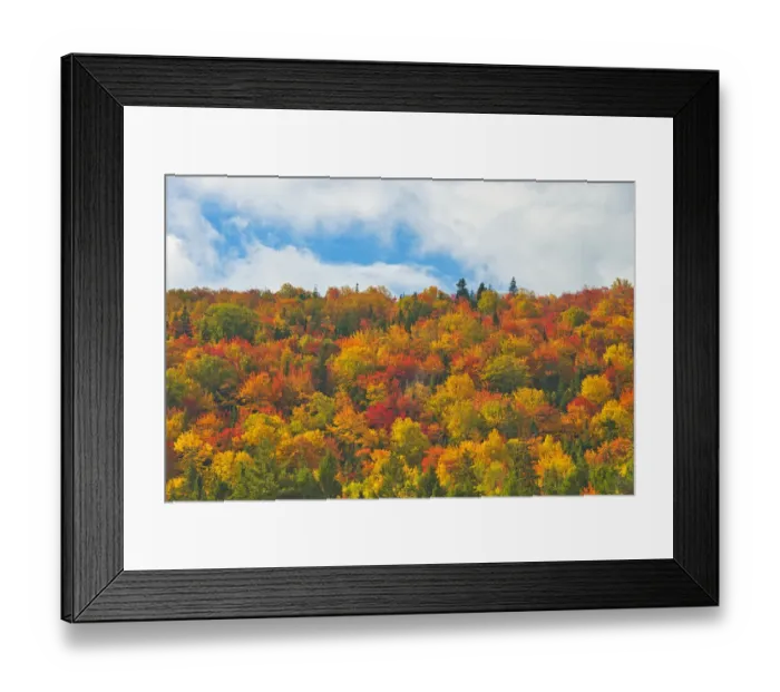 Framed Print : Canada, Nova Scotia, Indian Brook. Forest in autumn foliage