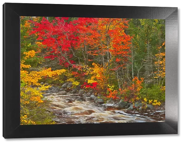 Canada, Nova Scotia. Mary-Anne Falls and forest in autumn foliage