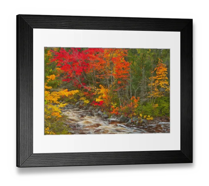 Framed Print : Canada, Nova Scotia. Mary-Anne Falls and forest in autumn foliage