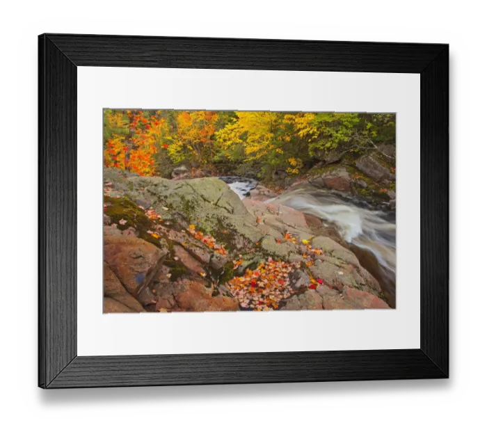 Framed Print : Canada, Nova Scotia. Mary-Anne Falls and forest in autumn foliage Framed Print : Canada, Nova Scotia. Mary-Anne Falls and forest in autumn foliage