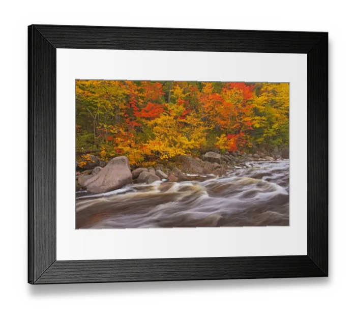 Framed Print : Canada, Nova Scotia. Mary-Anne Falls and forest in autumn foliage Framed Print : Canada, Nova Scotia. Mary-Anne Falls and forest in autumn foliage