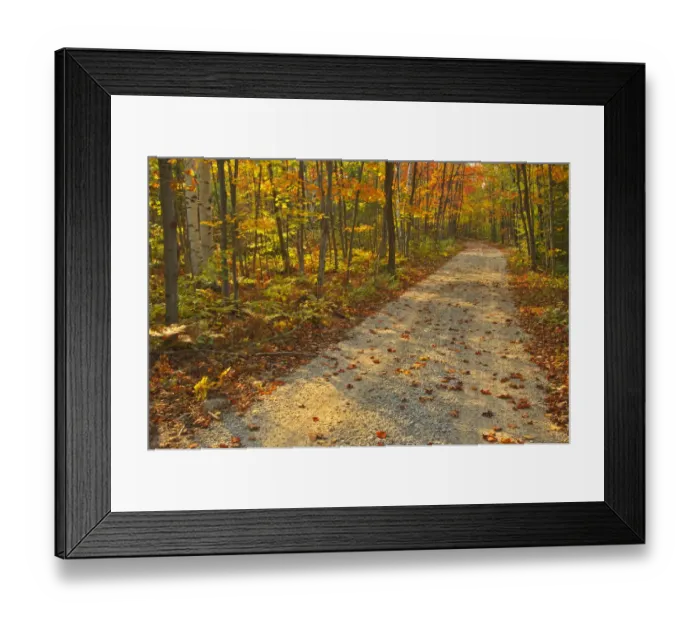 Framed Print : Canada, Ontario, Bruce Peninsula National Park. Autumn on the Bruce Trail Framed Print : Canada, Ontario, Bruce Peninsula National Park. Autumn on the Bruce Trail