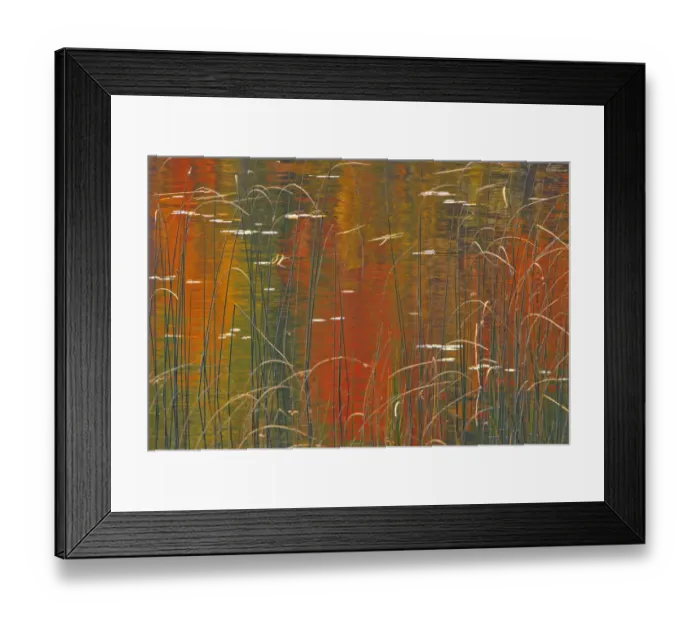 Framed Print : Canada, Ontario. Reeds on Bunny Lake. Credit as: Mike Grandmaison  /  Jaynes Gallery  / 