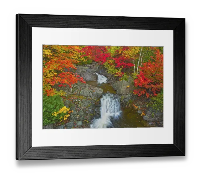 Framed Print : Canada, Nova Scotia, Cape Breton Island. Morrison Brook and forest in autumn foliage Framed Print : Canada, Nova Scotia, Cape Breton Island. Morrison Brook and forest in autumn foliage