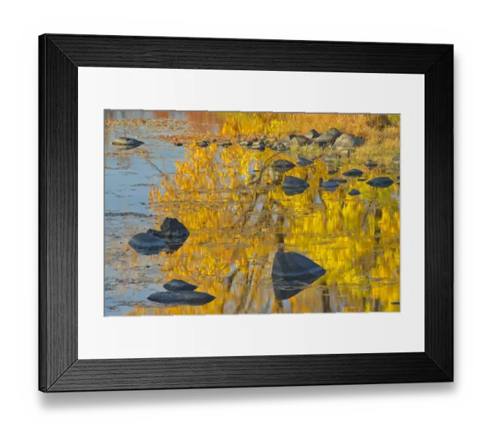 Framed Print : Canada, Ontario, Whitefish. Autumn colors reflect in Vermilion River Framed Print : Canada, Ontario, Whitefish. Autumn colors reflect in Vermilion River