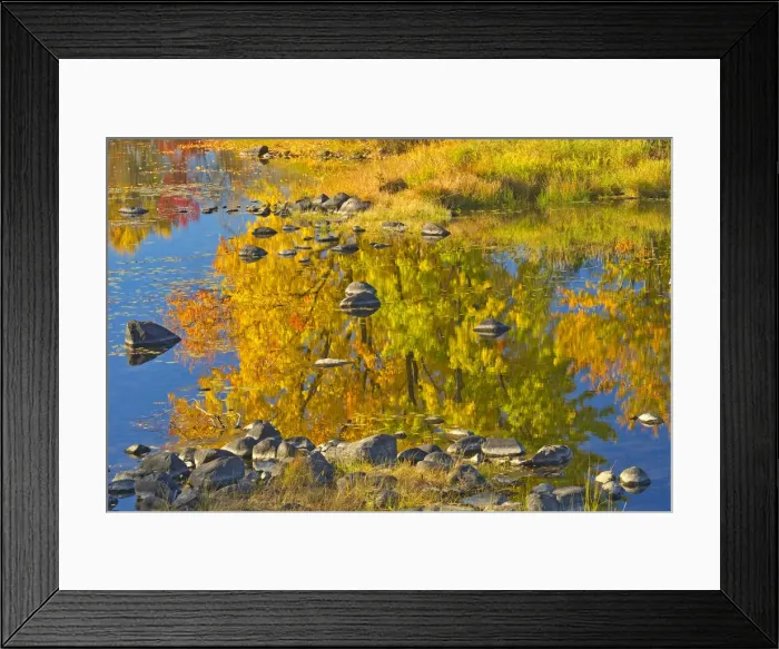Framed Print : Canada, Ontario, Whitefish. Autumn colors reflect in Vermilion River
