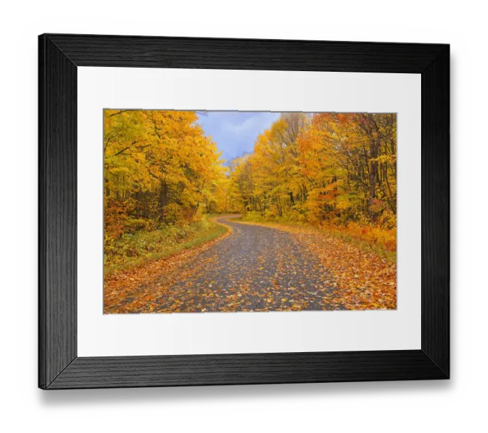 Framed Print : Canada, Ontario. Country road through forest. Credit as Framed Print : Canada, Ontario. Country road through forest. Credit as