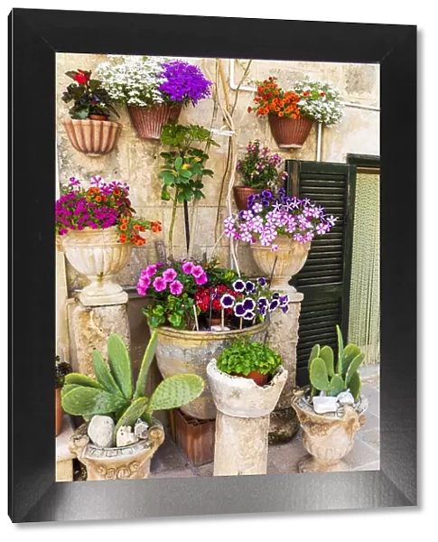 Italy, Apulia, Metropolitan City of Bari, Monopoli. Flowers in planters outside a stone