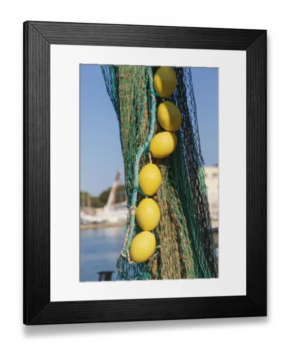 Framed Print : Italy, Apulia, Province of Barletta-Andria-Trani, Trani Framed Print : Italy, Apulia, Province of Barletta-Andria-Trani, Trani