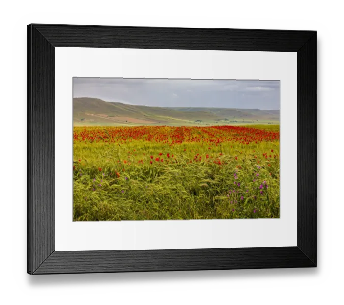 Framed Print : Italy, Apulia, Metropolitan City of Bari, Gravina in Puglia Framed Print : Italy, Apulia, Metropolitan City of Bari, Gravina in Puglia