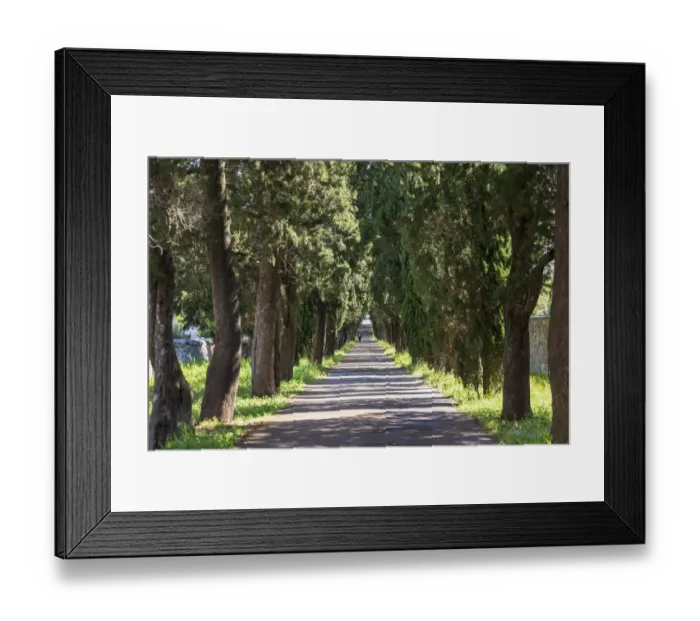 Framed Print : Italy, Apulia, Metropolitan City of Bari, Locorotondo. Tree-lined walkway