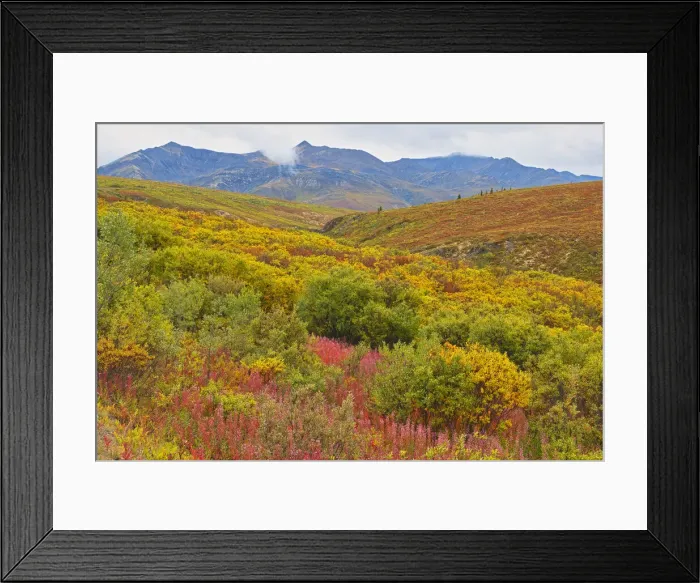 Framed Print : Canada, Yukon. Autumn-colored hills and fog. Credit as: Mike Grandmaison / Jaynes Gallery Framed Print : Canada, Yukon. Autumn-colored hills and fog. Credit as: Mike Grandmaison / Jaynes Gallery