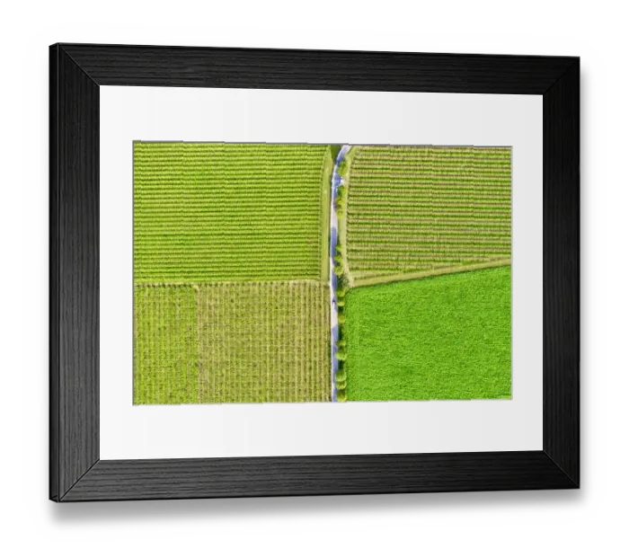 Framed Print : Italy, Valpolicella vineyards Framed Print : Italy, Valpolicella vineyards