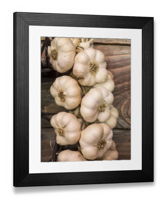 Framed Print : Europe, Italy, Chianti. Garlic hanging in a meat shop in the town of Radda in Chianti Framed Print : Europe, Italy, Chianti. Garlic hanging in a meat shop in the town of Radda in Chianti