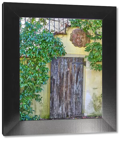 Europe, Italy, Chianti. Old wooden door beneath a stairway with climbing vines