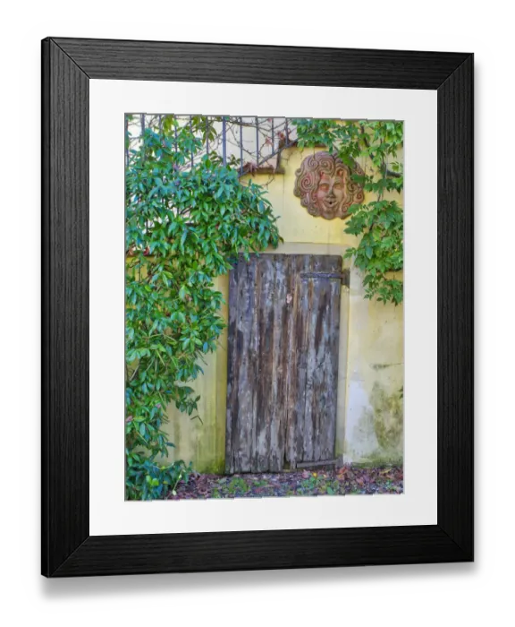 Framed Print : Europe, Italy, Chianti. Old wooden door beneath a stairway with climbing vines Framed Print : Europe, Italy, Chianti. Old wooden door beneath a stairway with climbing vines