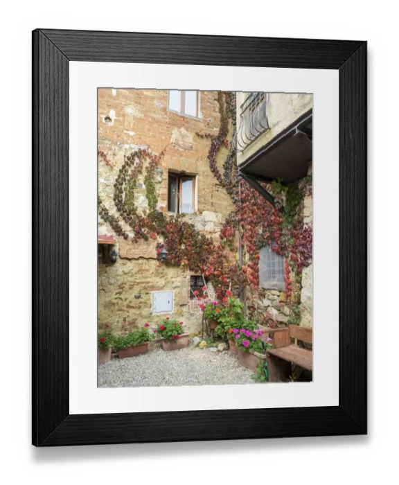 Framed Print : Europe, Italy, Chianti. Back street alleyway with fall colored climbing vine on the wall Framed Print : Europe, Italy, Chianti. Back street alleyway with fall colored climbing vine on the wall